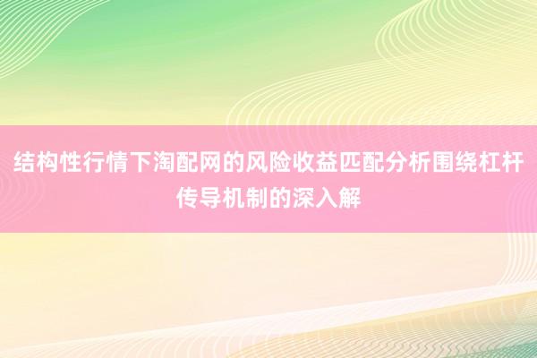 结构性行情下淘配网的风险收益匹配分析围绕杠杆传导机制的深入解