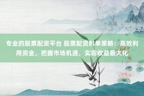 专业的股票配资平台 股票配资射单策略：高效利用资金，把握市场机遇，实现收益最大化