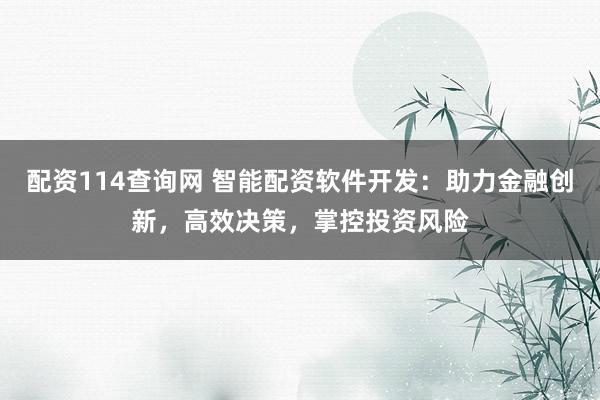配资114查询网 智能配资软件开发：助力金融创新，高效决策，掌控投资风险